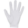 Under Armour Iso-Chill Leather Golf Glove - White Black For Discount