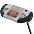 TaylorMade Spider GT Silver Notchback Putter - Small Slant Online